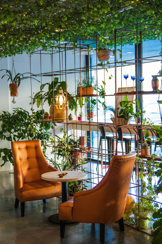 Furniture: The Cornerstone of a Home