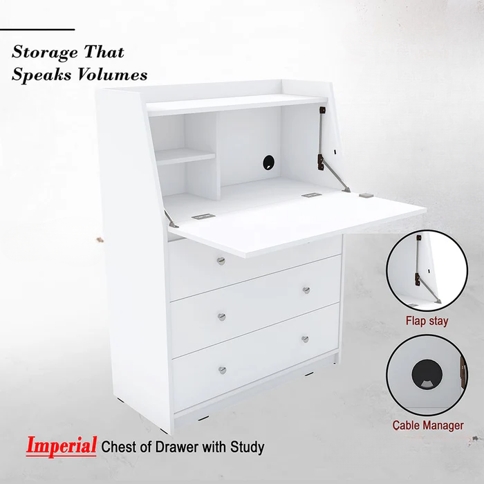 Regent Study & Storage Chest