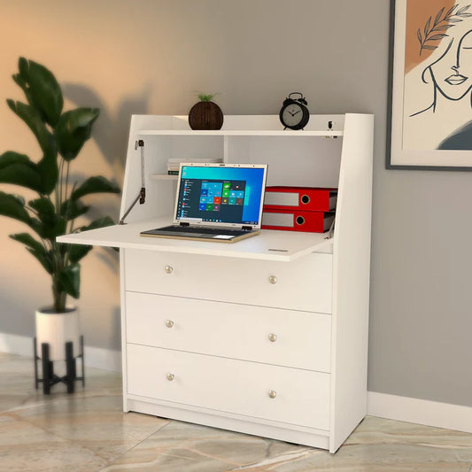 Regent Study & Storage Chest